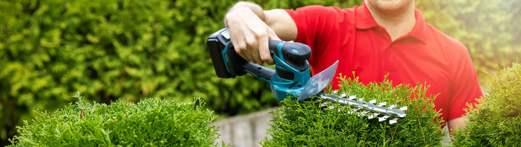Les 10 sites incontournables pour acquérir vos outils de jardinage - plare. découvrez notre sélection des meilleurs sites et outils de jardinage pour vous aider à cultiver un jardin florissant. trouvez des conseils pratiques, des astuces de jardinage et des outils indispensables pour tous les niveaux, du novice au jardinier expérimenté.