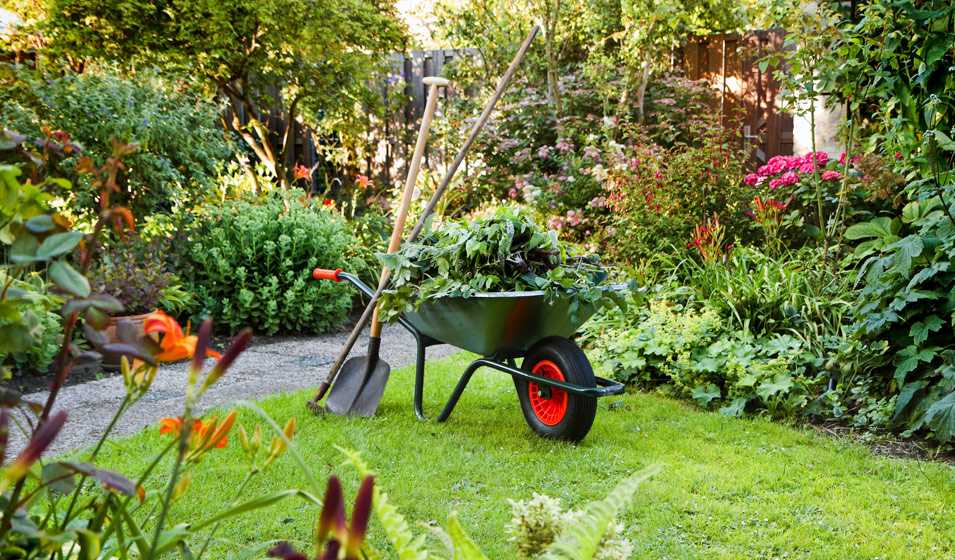Les 10 sites incontournables pour acquérir vos outils de jardinage - plare. découvrez les meilleurs sites et outils de jardinage pour cultiver votre passion. trouvez des conseils pratiques, des astuces de professionnels et des instruments indispensables pour entretenir votre jardin avec succès.