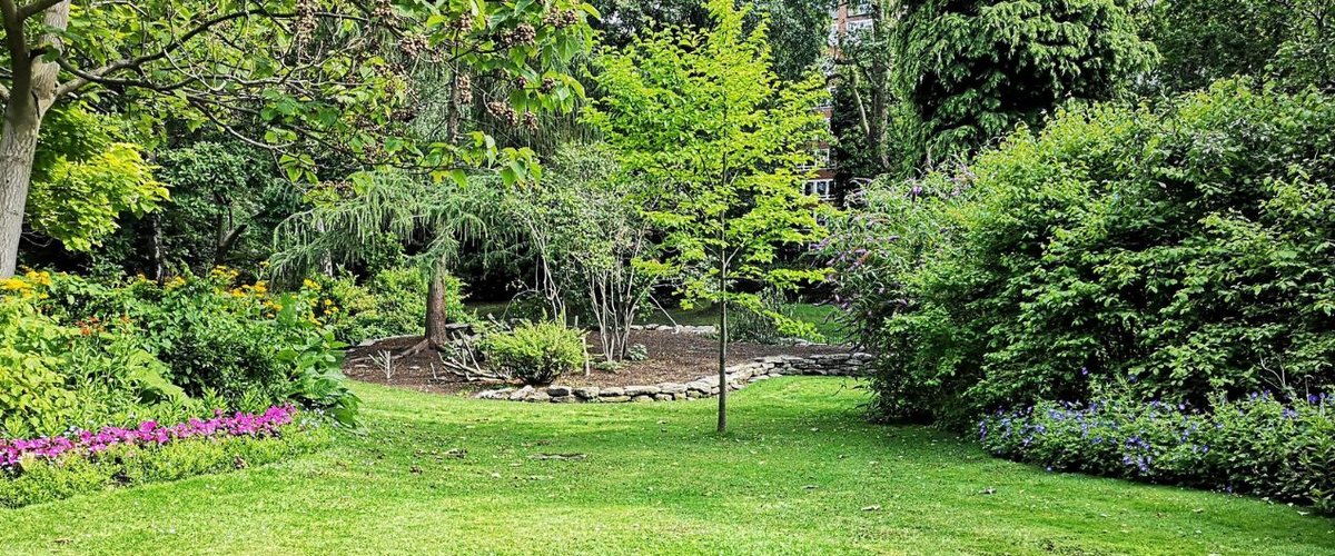Les 10 sites incontournables pour acquérir vos outils de jardinage - plare. découvrez notre sélection de sites incontournables pour le jardinage. que vous soyez débutant ou expert, trouvez les meilleurs outils, conseils et astuces pour transformer votre jardin en un véritable paradis naturel.