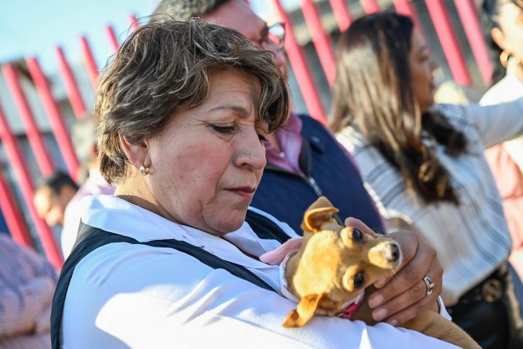 État de México intensifie ses efforts contre la surpopulation de chiens errants en renforçant des solutions efficaces