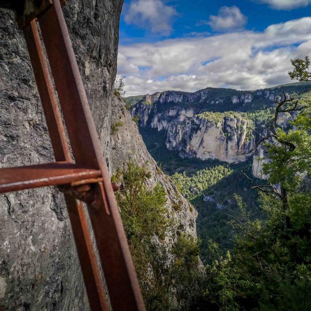 découvrez les meilleures plateformes de randonnée pour planifier vos aventures en pleine nature. comparez les sentiers, partagez vos expériences et trouvez des conseils pratiques pour une expérience inoubliable.