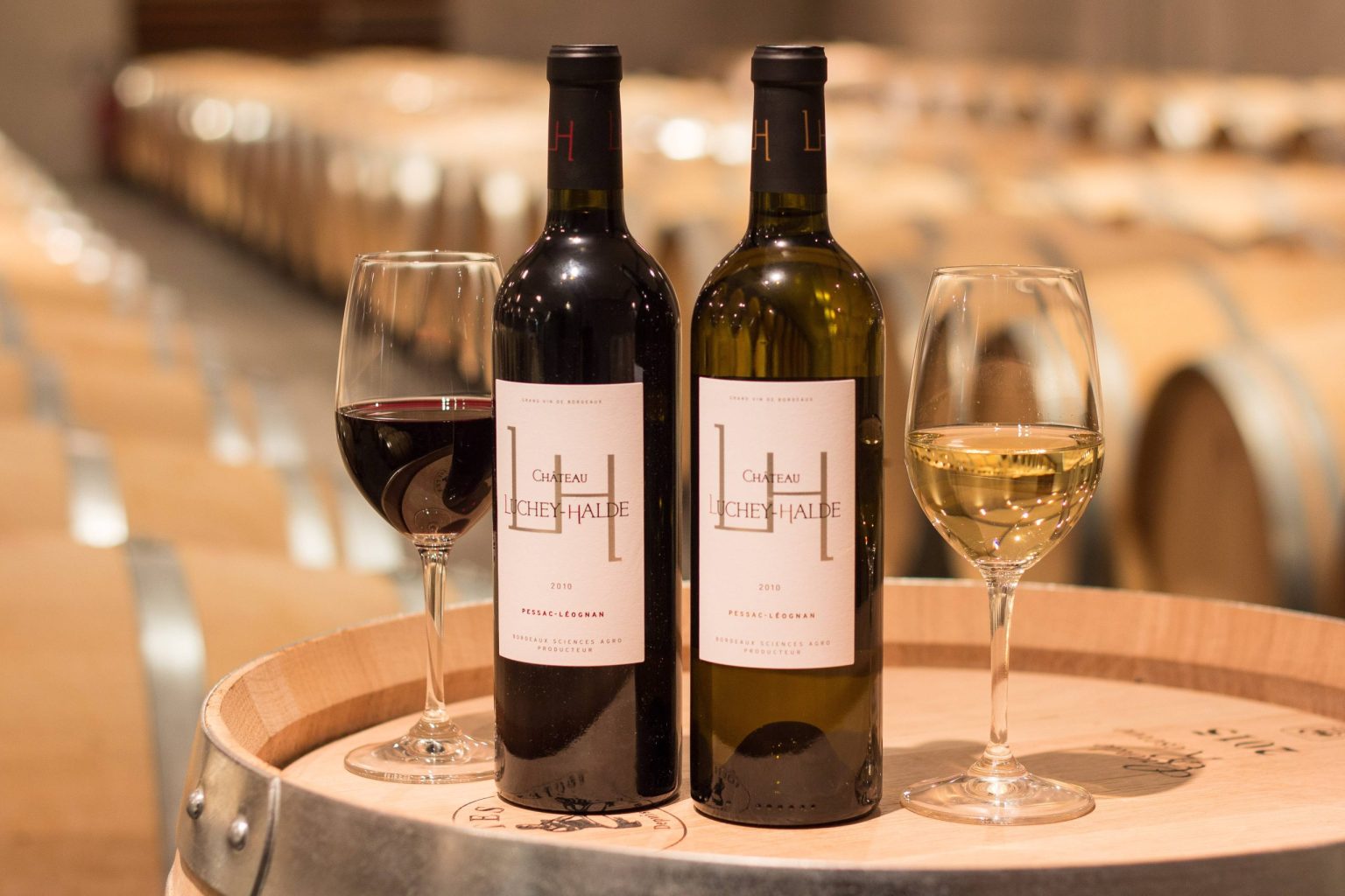 découvrez notre sélection des meilleures plateformes de vente de vin en 2025. profitez d'une expérience d'achat unique, d'une vaste gamme de choix et de conseils d'experts pour dénicher les bouteilles qui raviront vos papilles.