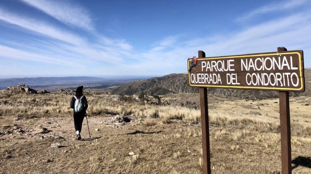 Voyages transformés : alliances, projets et destinations incontournables à explorer en Europe