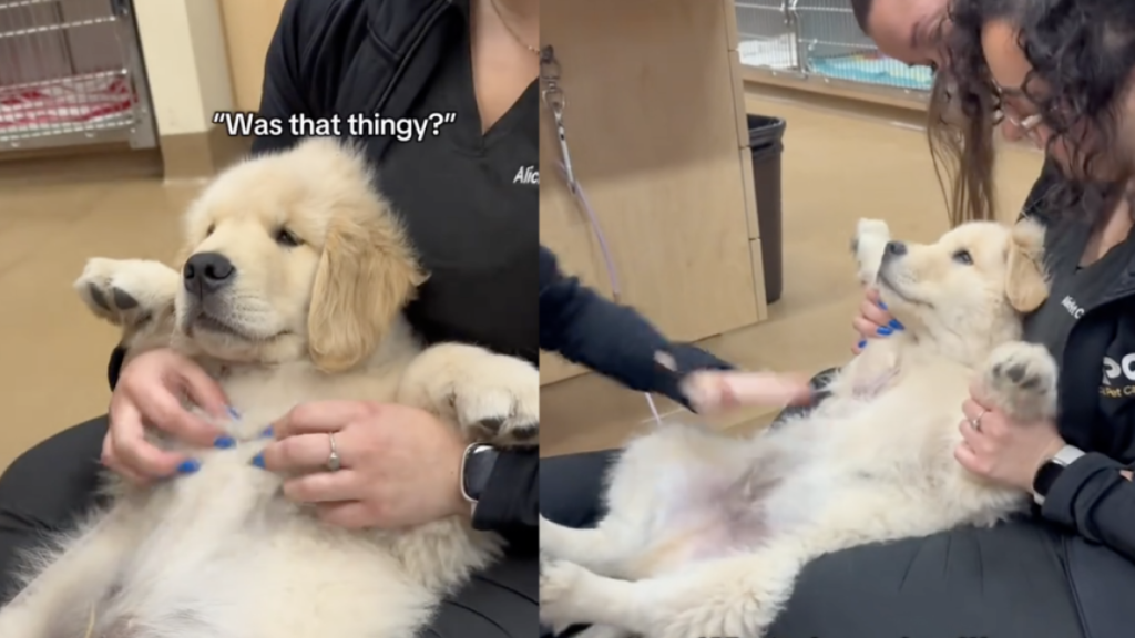 Pression et défis normatifs dans l’exercice clinique : stratégies pour surmonter les obstacles professionnels.