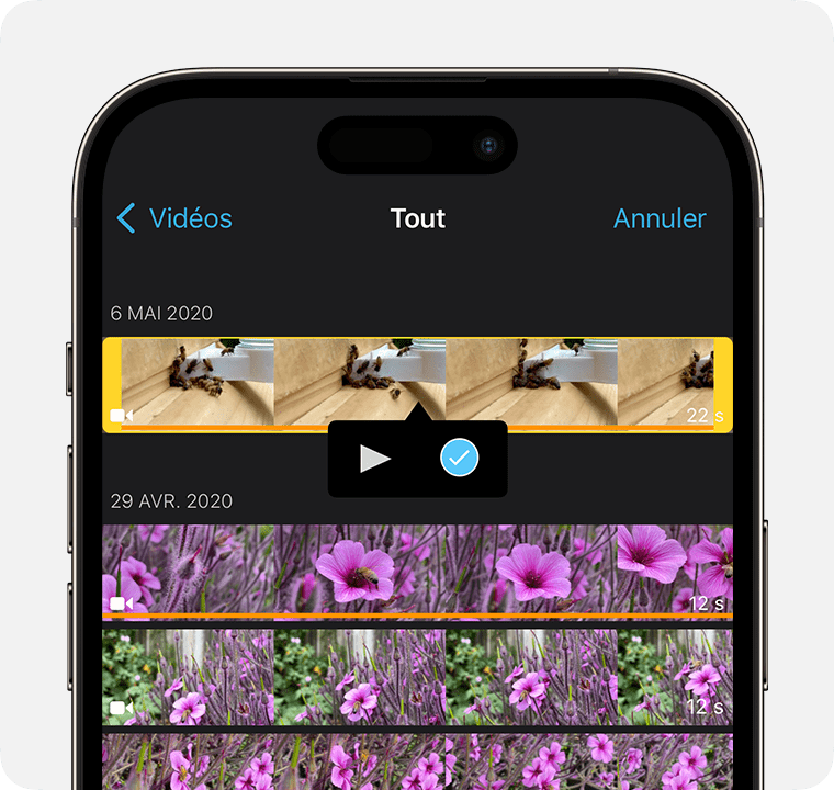 Google combine Veo 3 et Gemini : créez des vidéos à partir d'une seule image - plare. découvrez notre collection captivante de vidéos d'images, alliant créativité et esthétisme. explorez des séquences visuelles uniques qui racontent des histoires et éveillent les émotions. parfait pour les professionnels et les passionnés de l'image.