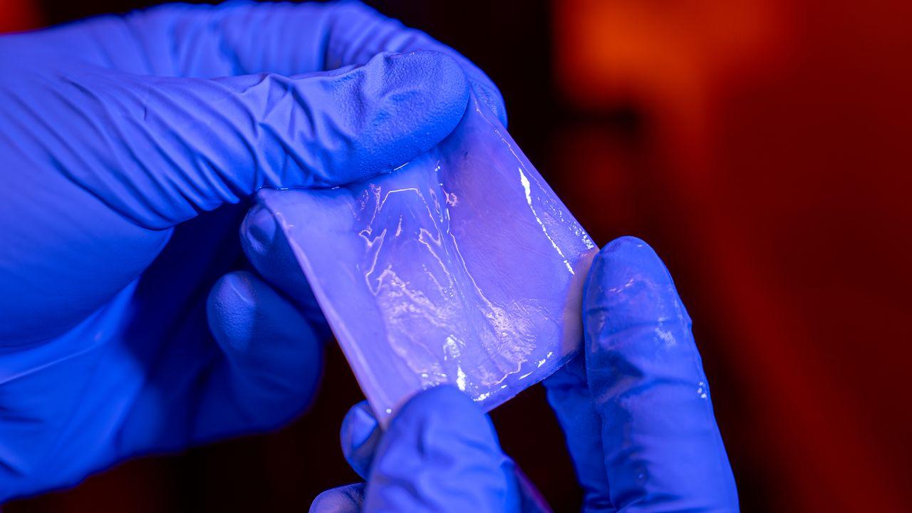 Cellulose et commerce international