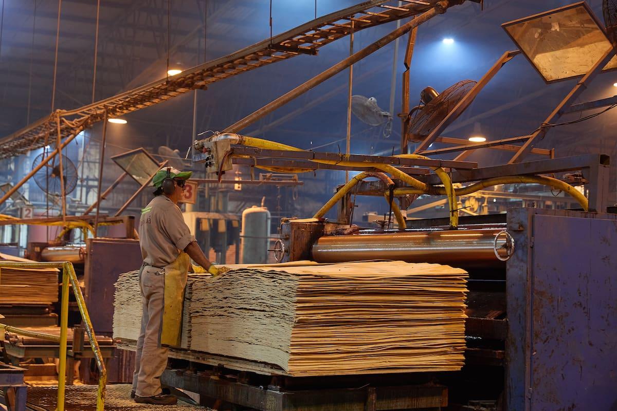Innovations en cellulose