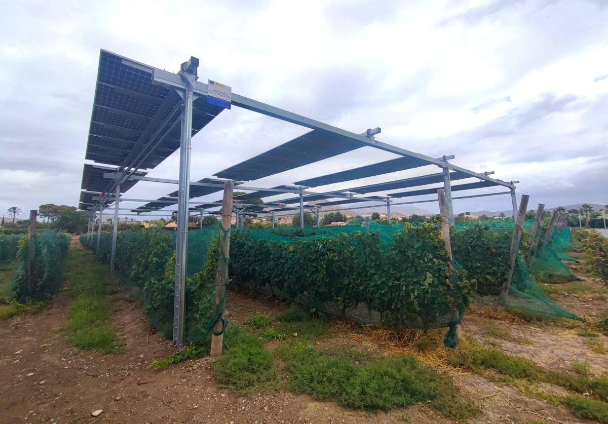 installations agrivoltaïques en Espagne