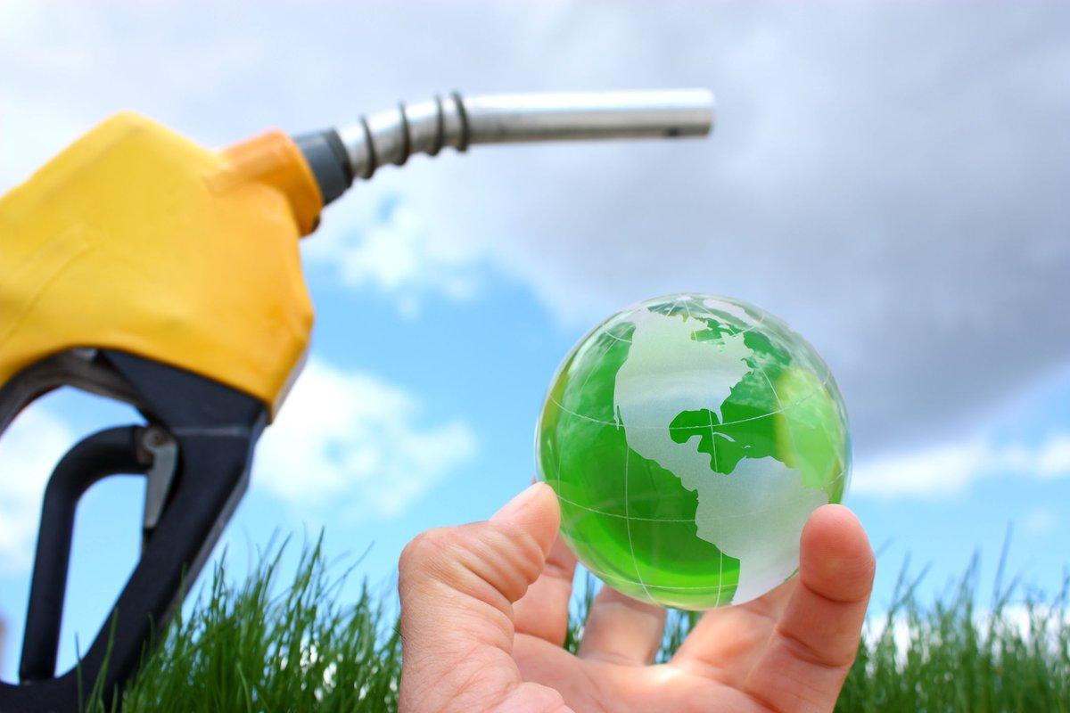 Production de biodiesel à partir d'huiles