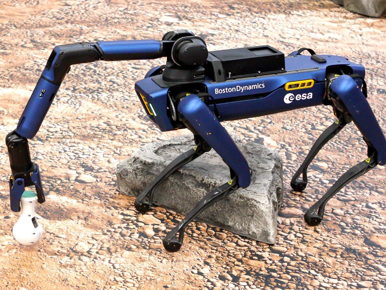 1755080964 144 Decouvrez Comment Bert et Spot de German Robotics Redefinissent - plare.