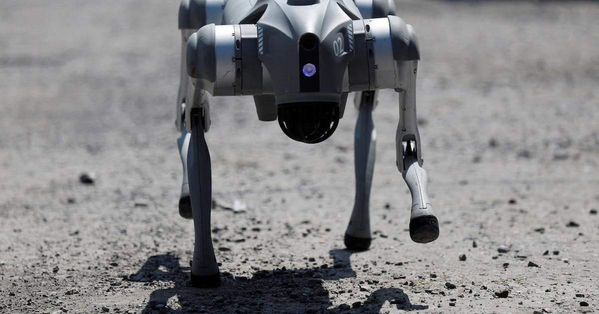 chien robot pour missions planétaires