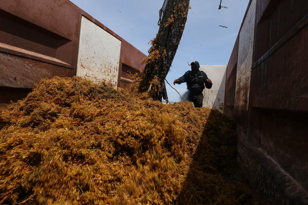 Mise à l'échelle et investissement international en biogaz