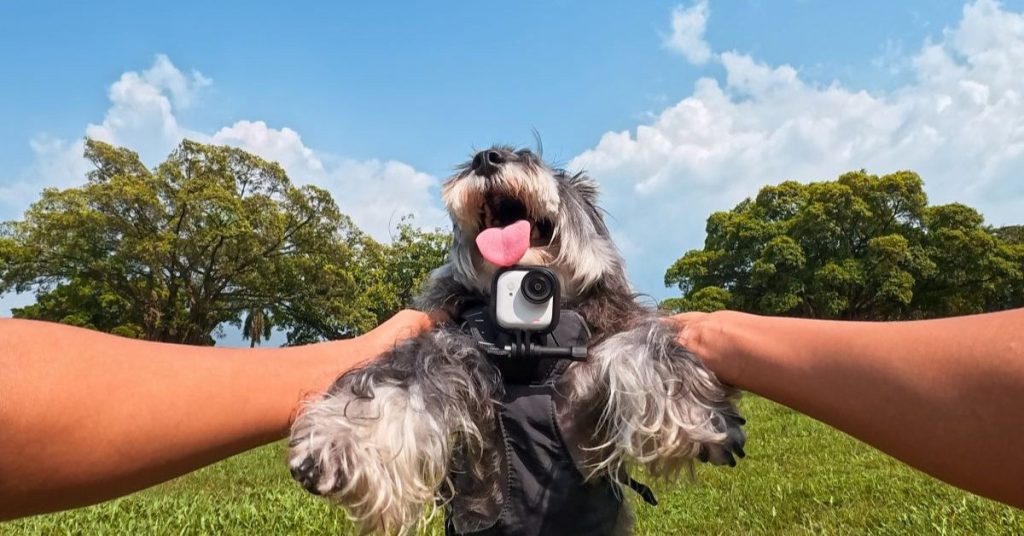 Insta360 dévoile sa caméra compacte de la taille d’un Oreo, capture en 4K/60fps et disponible dès aujourd’hui Insta360 dévoile sa caméra compacte de la taille d'un Oreo, capture en 4K/60fps et disponible dès aujourd'hui