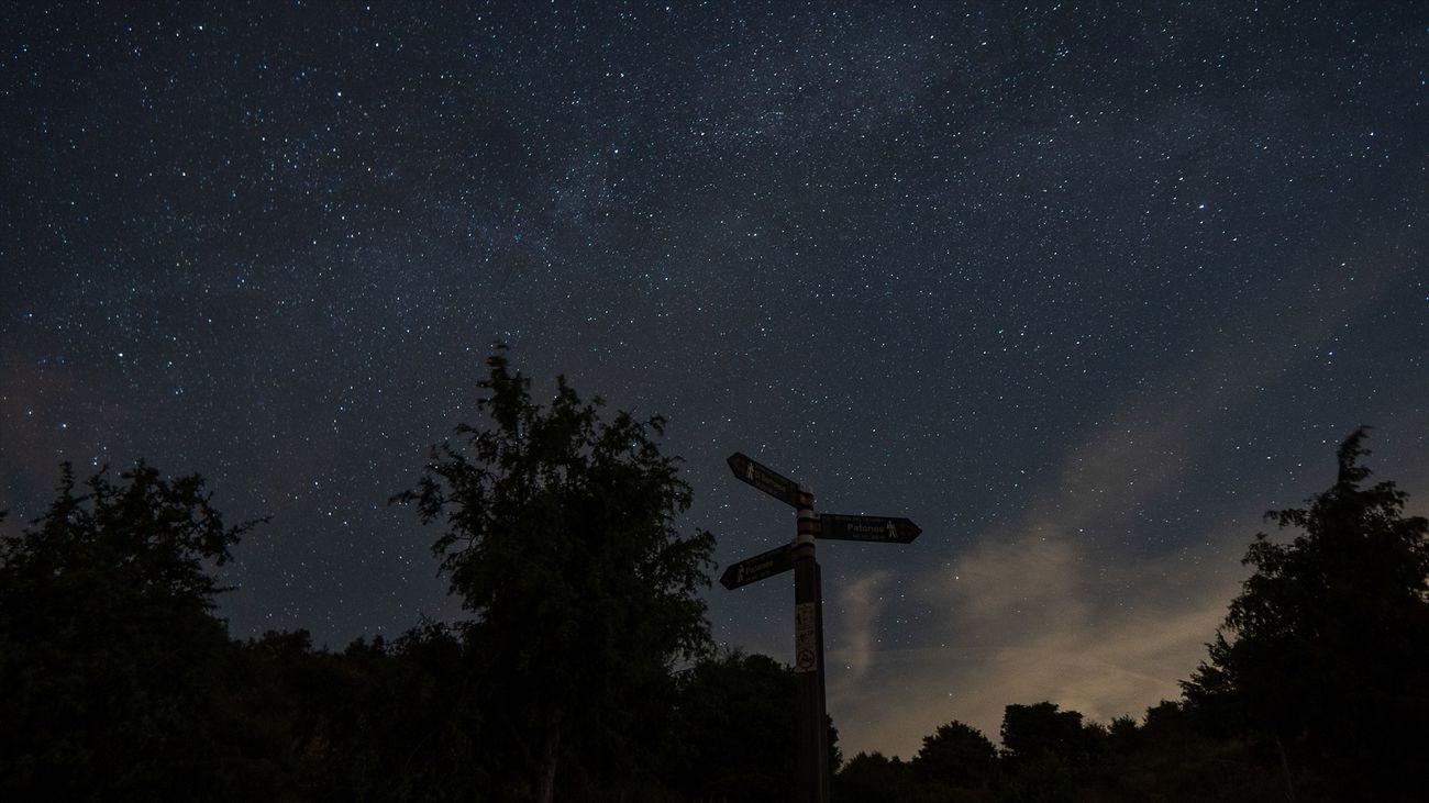 Impact de la lumière sur la faune
