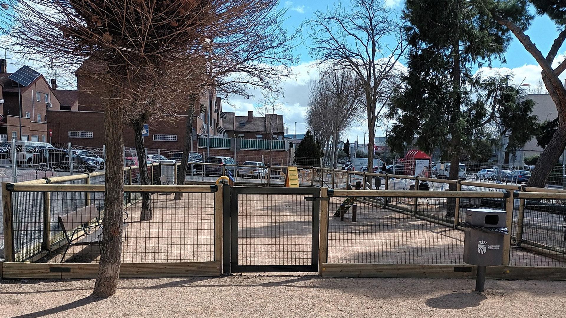 Festival canin à la piscine municipale