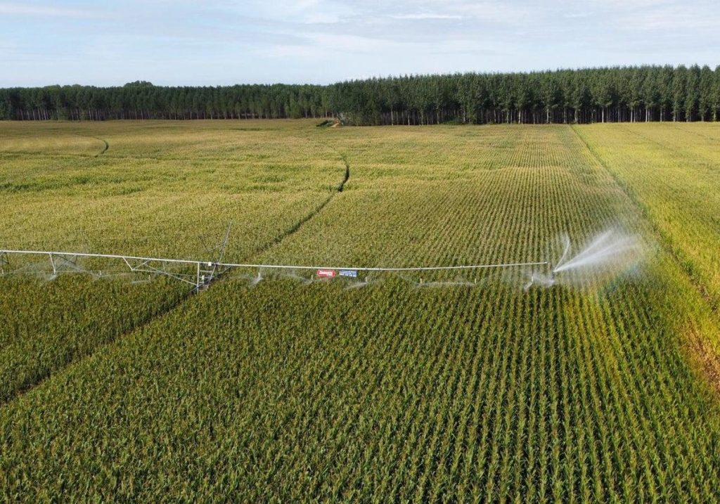« Avancées technologiques et défis innovants pour les agriculteurs modernes »