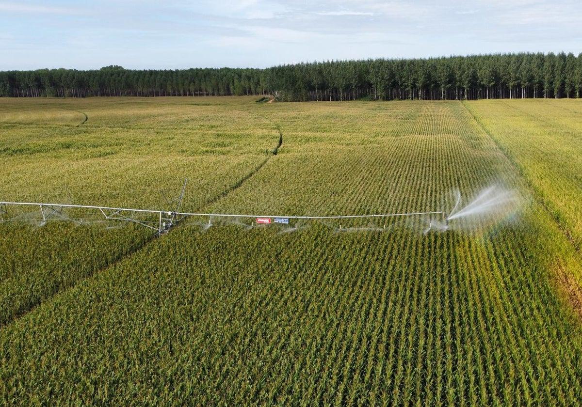 Avancees technologiques et defis innovants pour les agriculteurs modernes - plare.