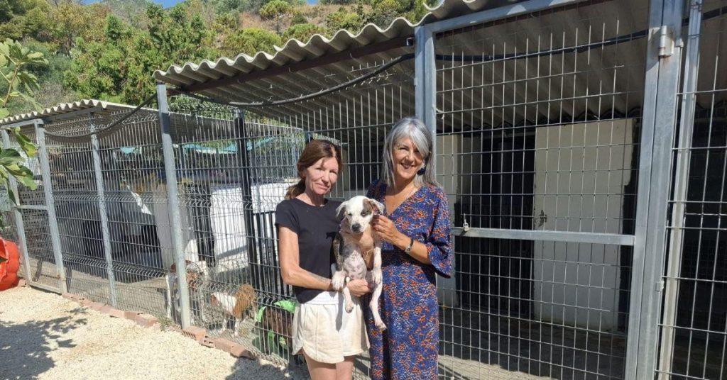 Benalmádena et Fidelio boostent l’adoption responsable des animaux.