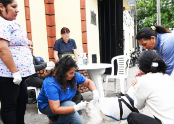 Bien sûr, pourriez-vous me fournir le titre d’origine ainsi que les détails pertinents (dates, exigences et services) pour que je puisse créer le titre SEO accrocheur ?