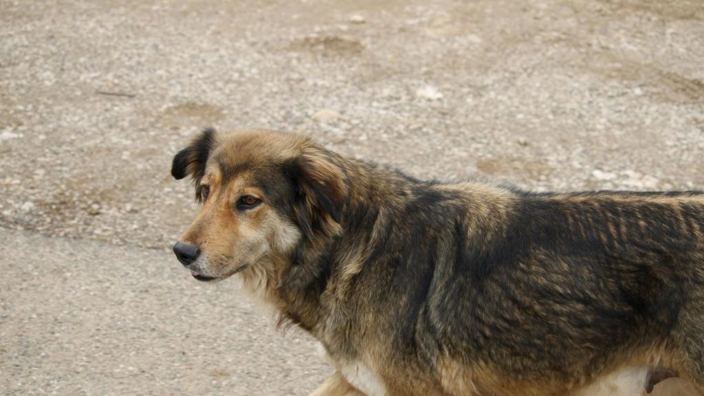 « Comprendre les causes et l’impact des enjeux environnementaux : comment agir efficacement »
