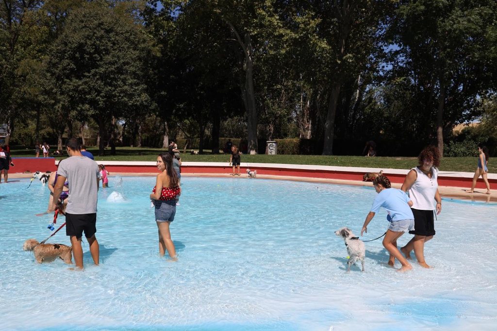 FuenlaDog Fest : programmes, animations et informations d’accès pour les passionnés de chiens