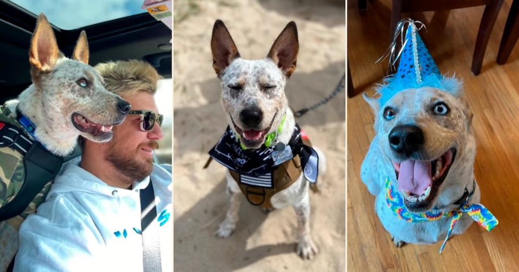 Histoires vraies : signaux à ne pas manquer et conseils de soins essentiels