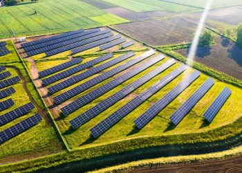 Nouveaux projets en agrivoltaïque favorisent la durabilité agricole et énergétique