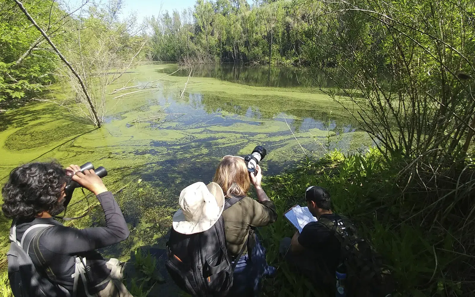 Observación de aves sostenible en la naturaleza