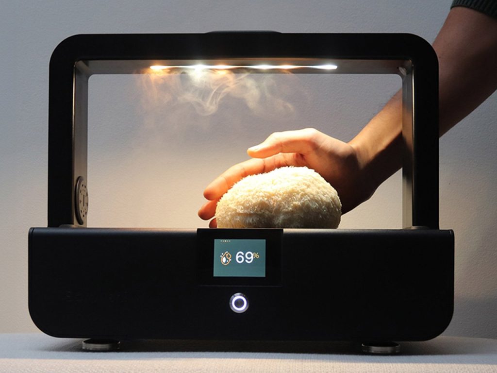 Découvrez le Kit de Culture de Champignons Révolutionnaire : Récoltez des Champignons Gourmets en Seulement 7 Jours grâce à l’IA !