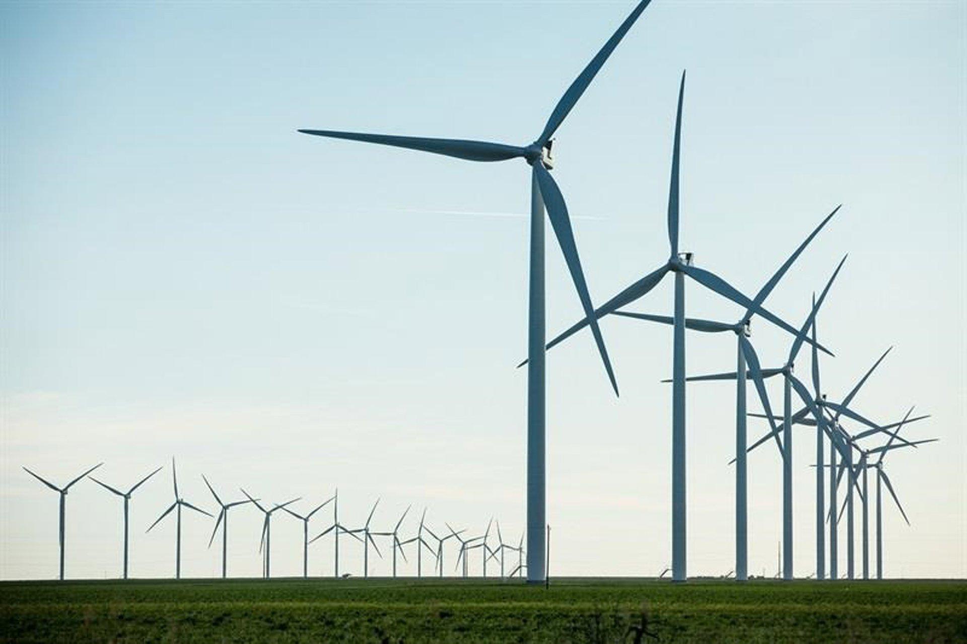 Vestas 1 - plare.