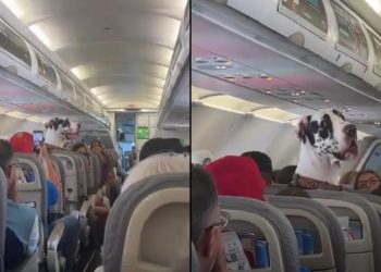 Voici un titre SEO accrocheur :

« Viral sur les réseaux : l’incroyable aventure en avion qui fait le tour du web »