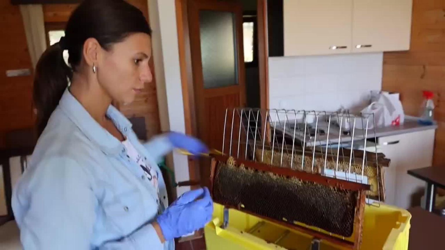 Climat extrême, velutina et importations : comment le secteur s’adapte face aux défis croissants