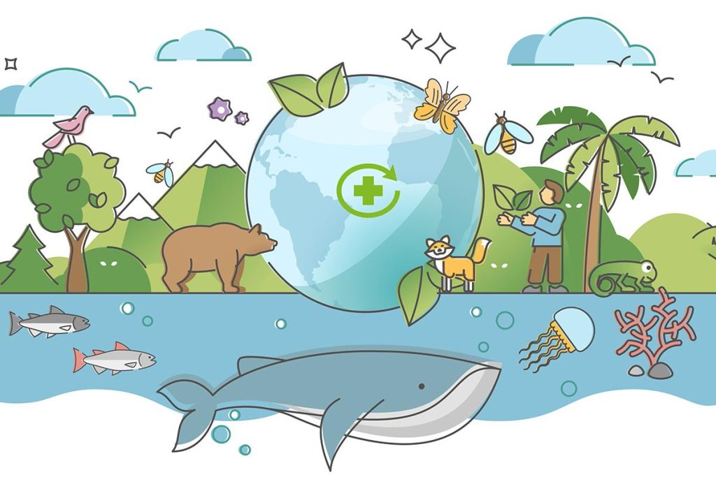 Stratégies innovantes et défis pour protéger notre biodiversité naturelle