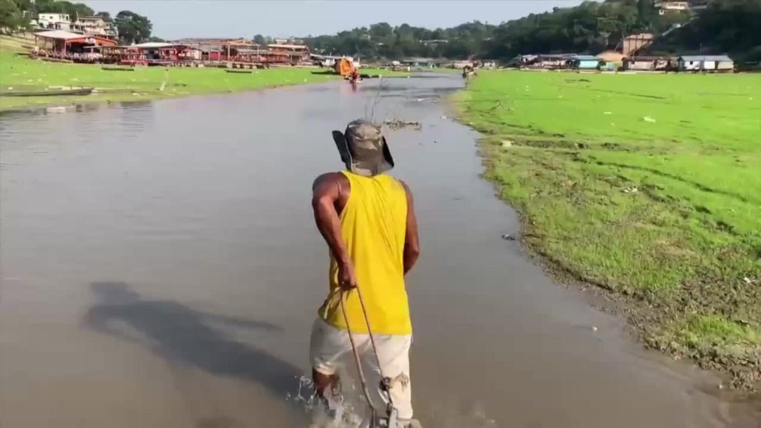Nouvelles technologies et données sur la déforestation en Amazonie : avancées et défis à relever