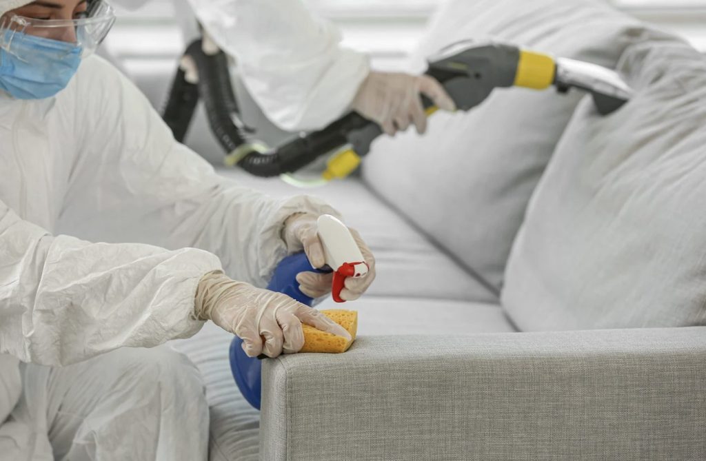 SOS Nuisibles : votre expert en désinsectisation au Havre et en Seine‑Maritime