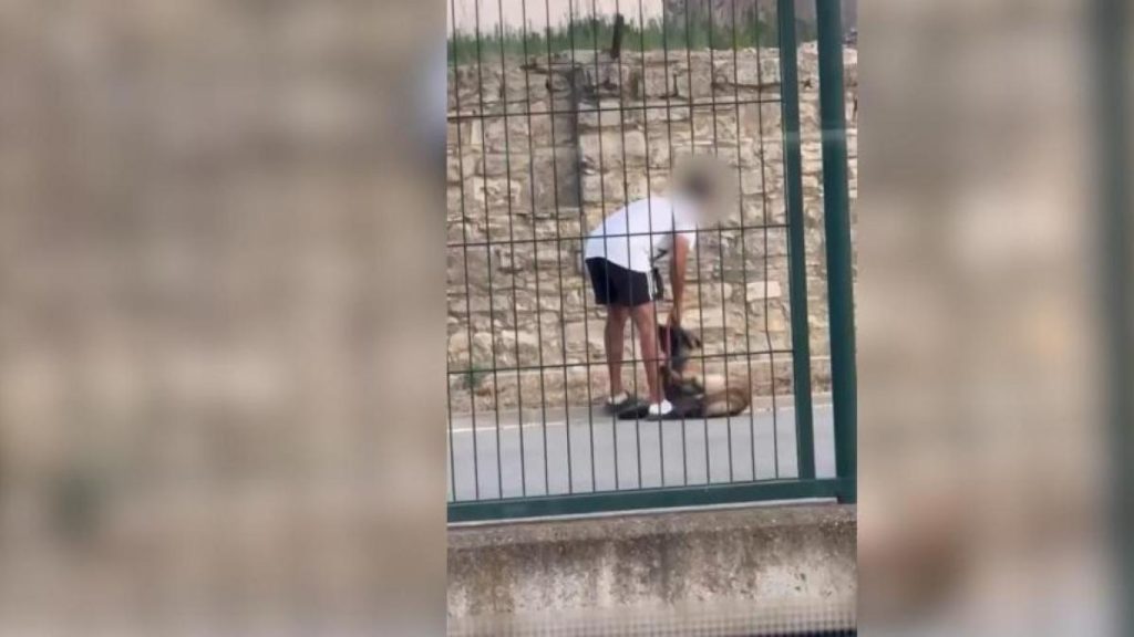 Titre SEO : Enquête fascinante sur un phénomène viral : analyse du succès d’un vidéo sensationnel