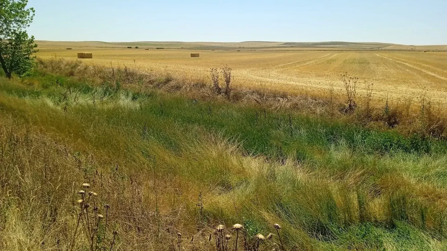 Mobilisation citoyenne face à la polémique de la centrale de biogaz à Villardondiego