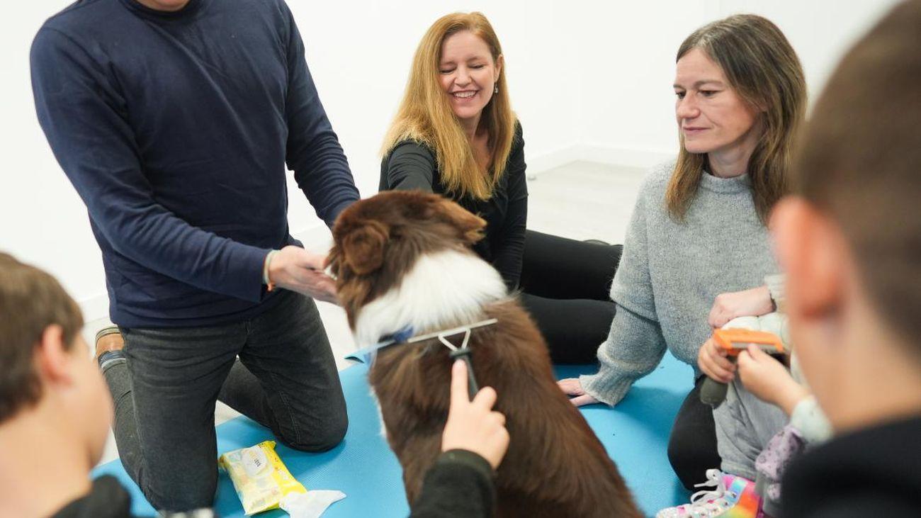 terapia asistida con perros - plare.