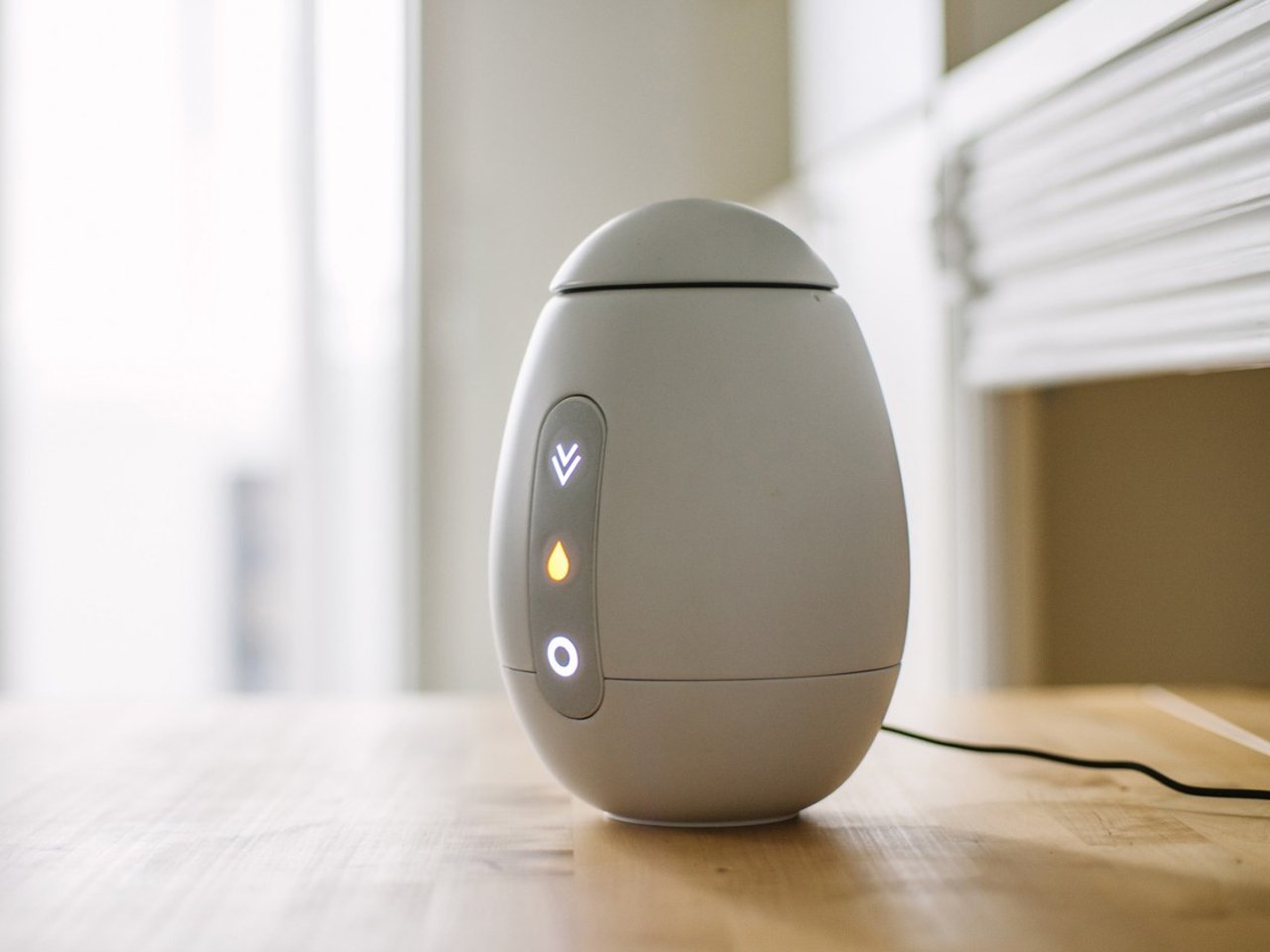 Vivo Pot