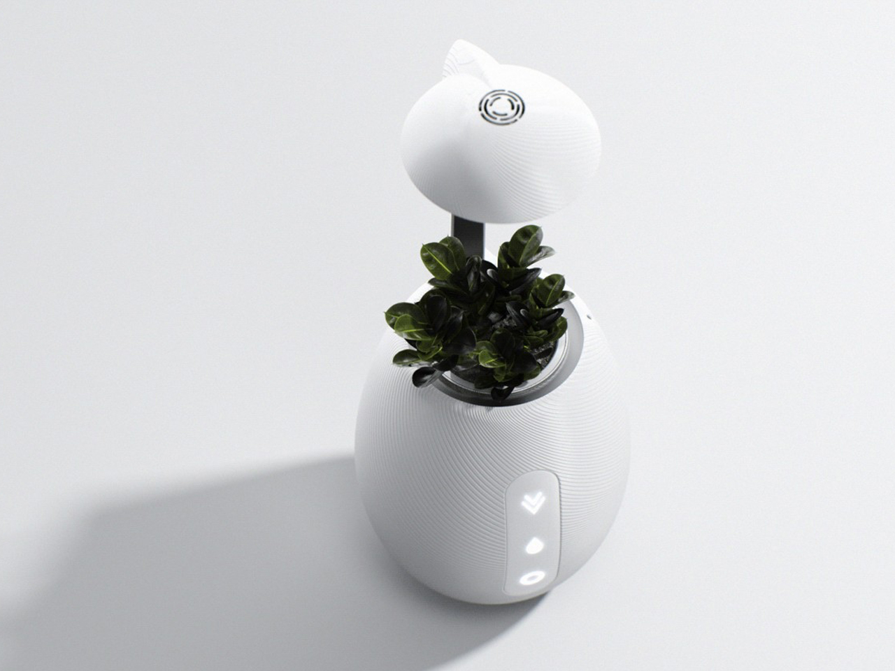 Plantes et éclairage