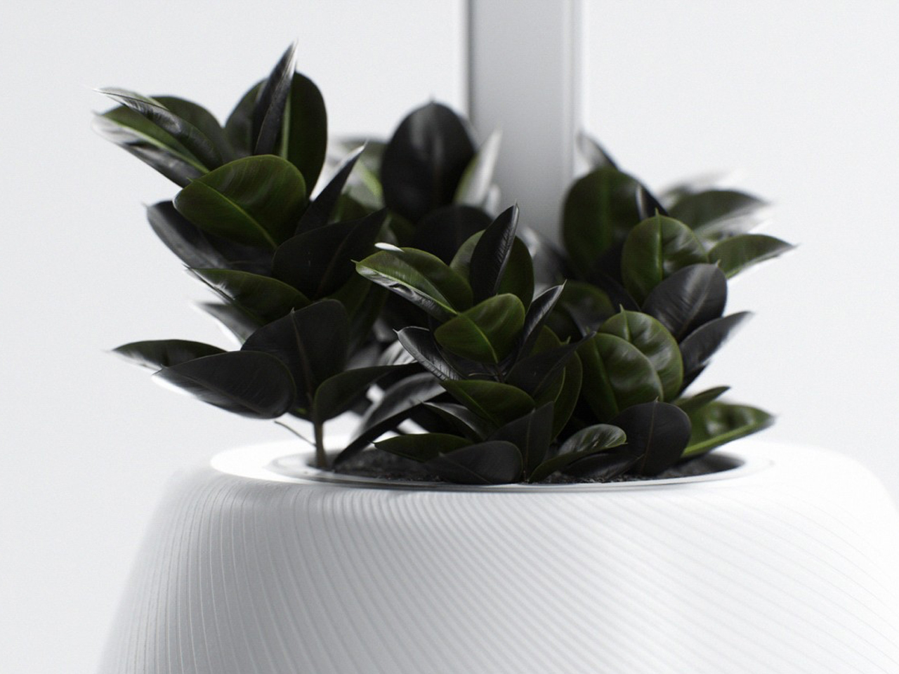 Design innovant