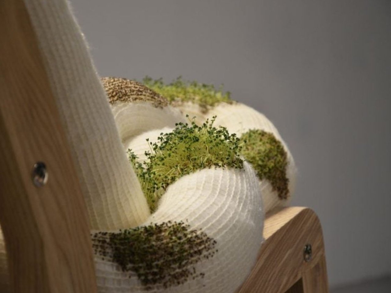 Un design écologique