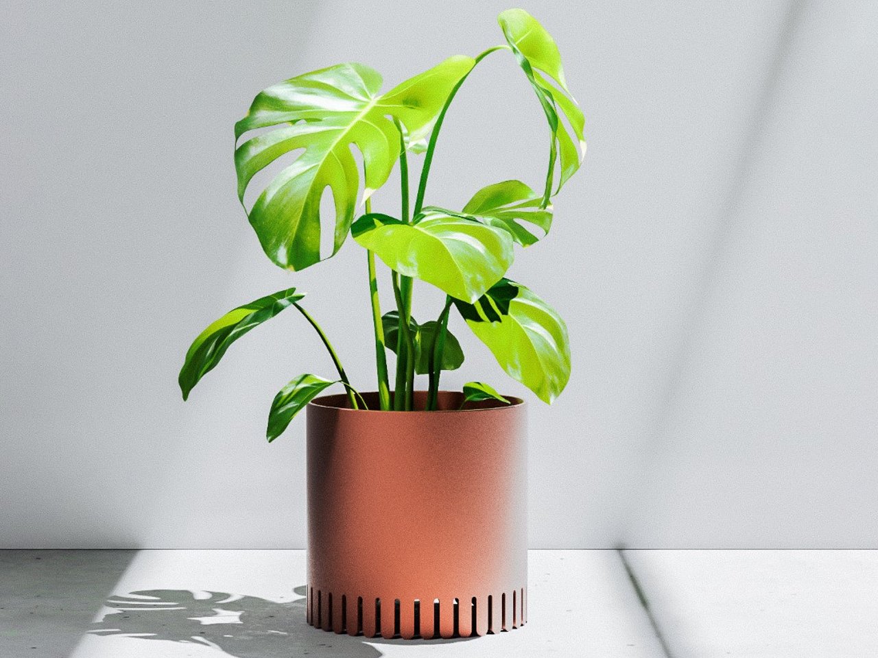 1758382676 343 Decouvrez les 5 Meilleurs Systemes de Jardinieres Modulaires - plare.