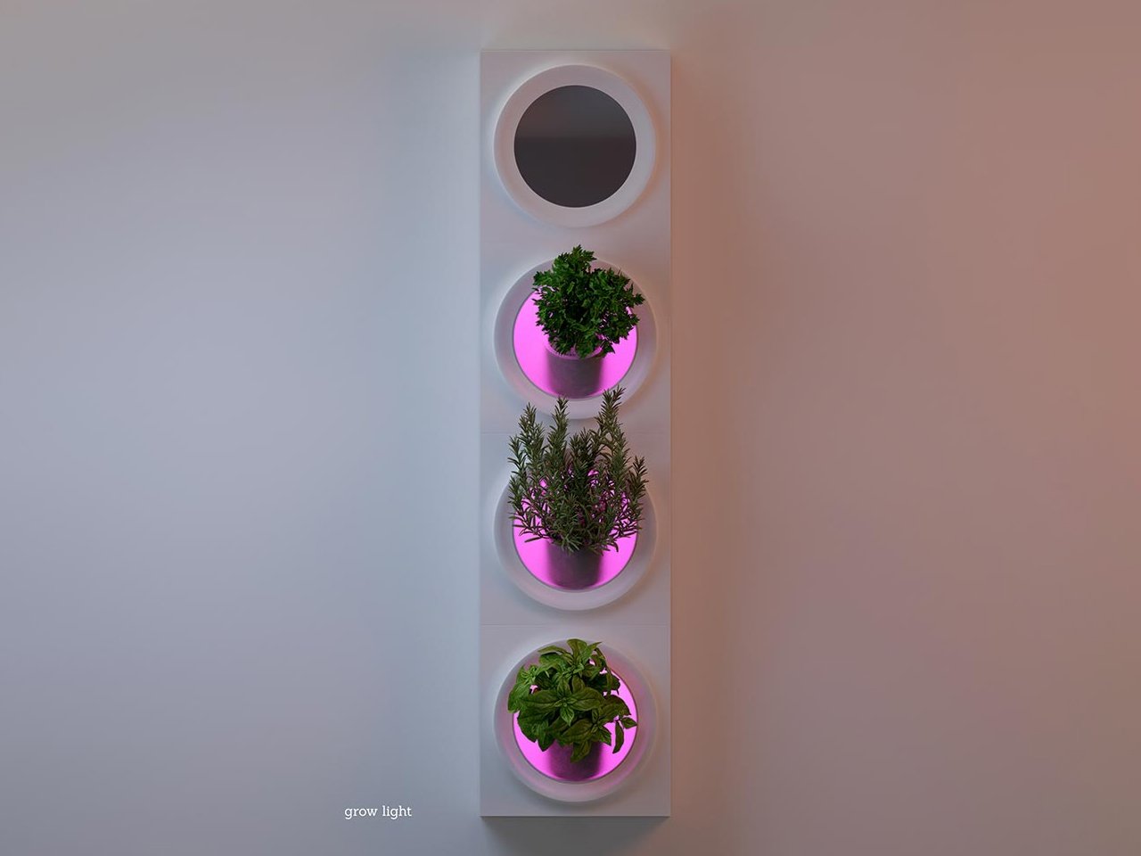 1758382676 35 Decouvrez les 5 Meilleurs Systemes de Jardinieres Modulaires - plare.