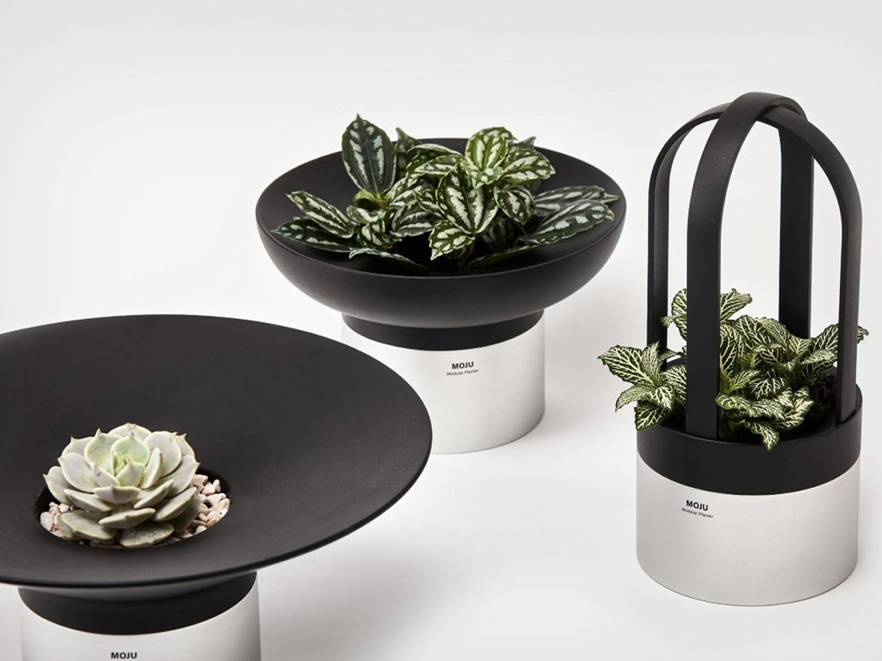 1758382677 382 Decouvrez les 5 Meilleurs Systemes de Jardinieres Modulaires - plare.