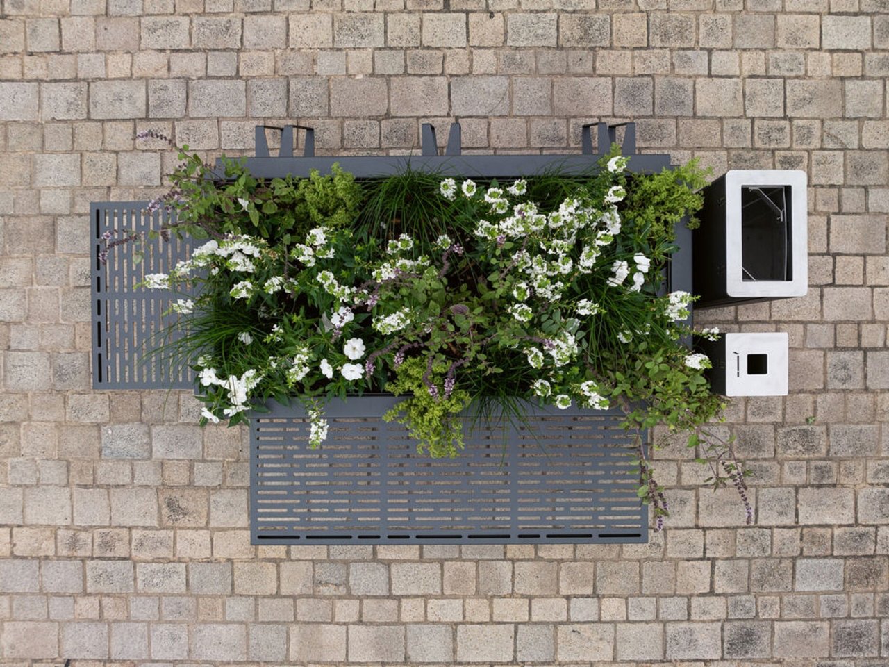 1758382677 512 Decouvrez les 5 Meilleurs Systemes de Jardinieres Modulaires - plare.
