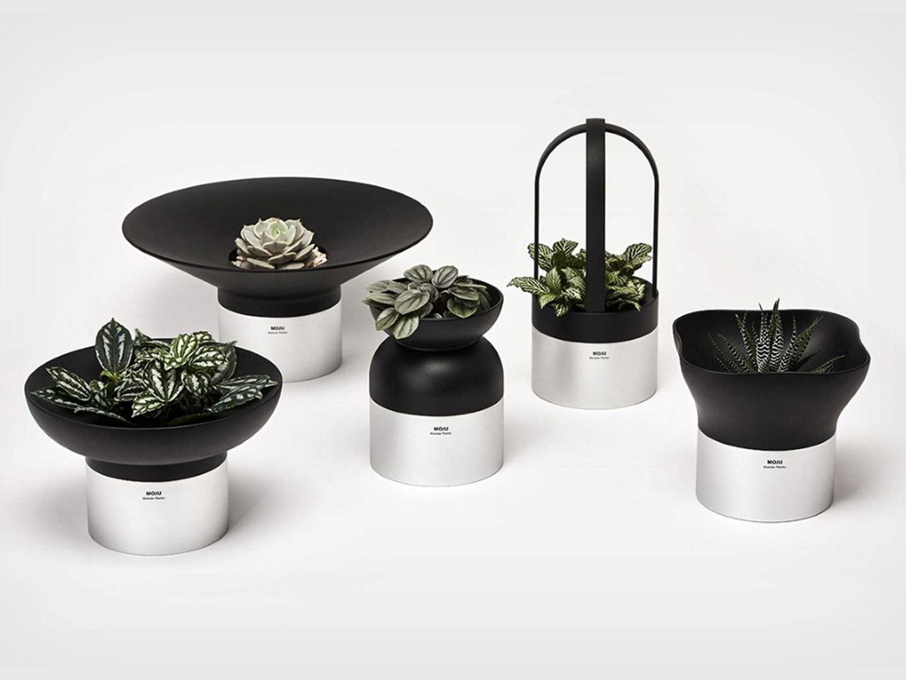 1758382677 533 Decouvrez les 5 Meilleurs Systemes de Jardinieres Modulaires - plare.
