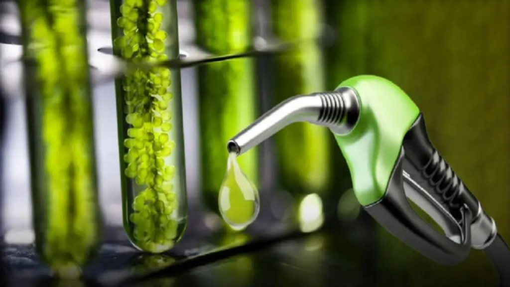 Qué cambia y cómo impacta la rentabilidad de los surtidores: claves para entender el nuevo panorama del sector