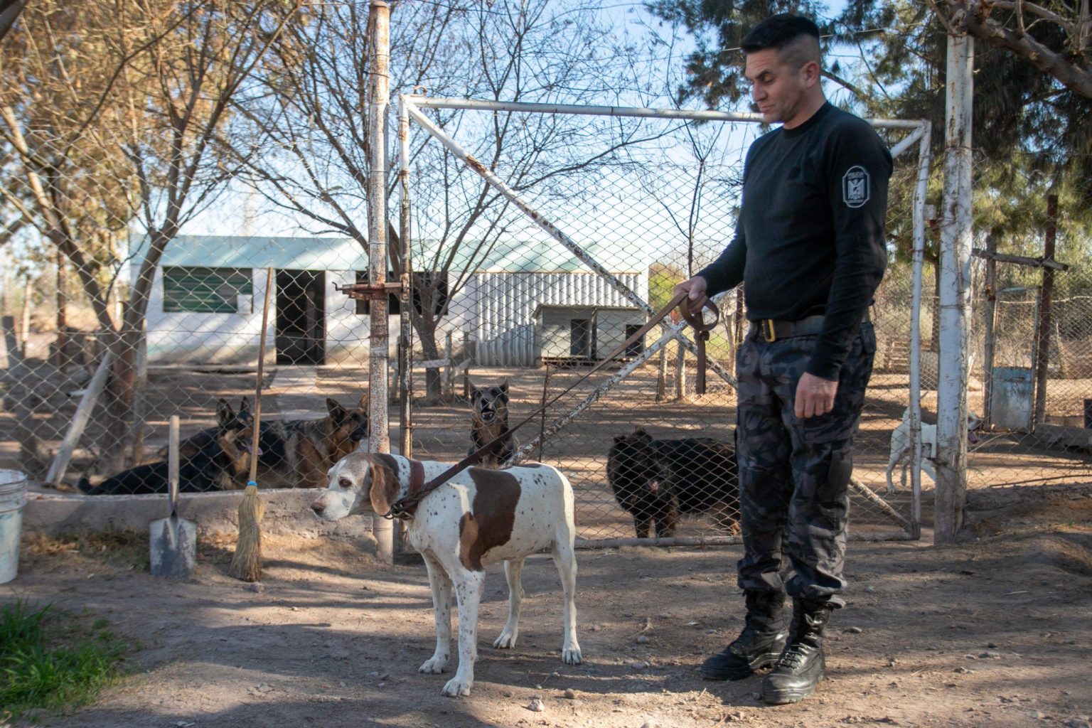 Cira, la chienne policière emblématique de Mendoza tire sa révérence après plus de 150 missions de détection