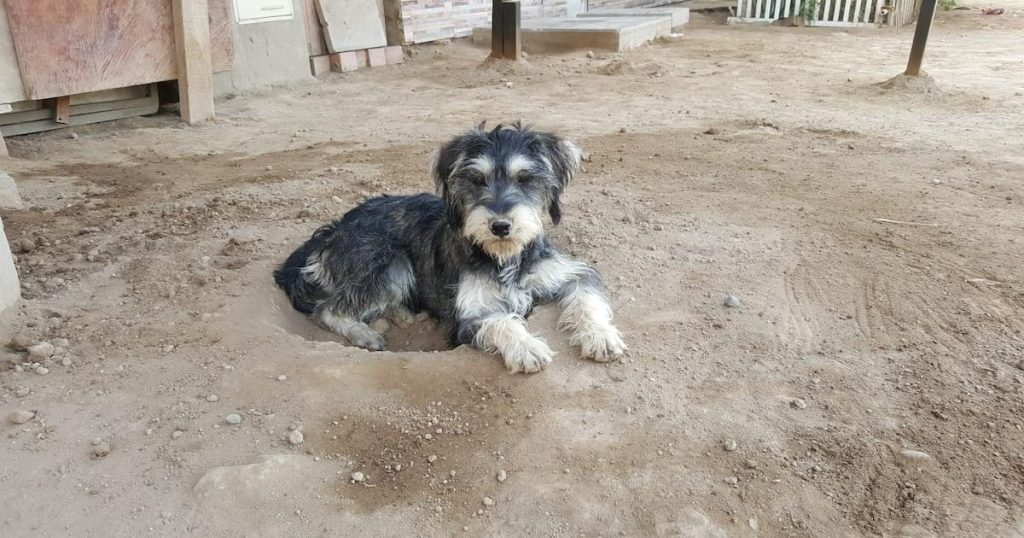 Bien sûr, pourrais-tu me fournir le titre d’origine et les chiffres ou informations que tu souhaites utiliser pour ce nouveau titre SEO ?